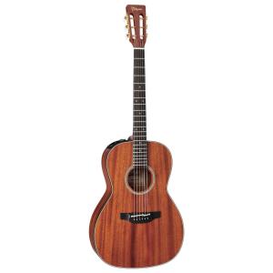 限定品!! Takamine(タカミネ) / TDP-471M MTB エレクトリック