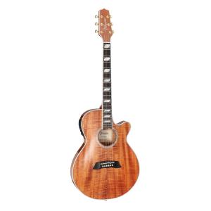 Takamine Takamine TSP178AC SBB -Sapphire Blue Burst- 新品