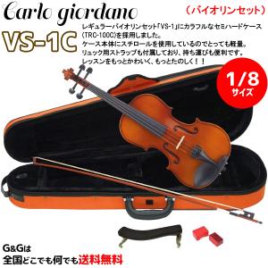 Eastman/イーストマン バイオリンハードケース スタンダード・紫/ CAVL