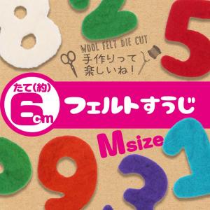フェルト ワッペン 数字 縦6cm  手芸 手芸用品 かわいい
