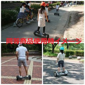 【フルセット】セグウェイ ミニセグウェイ バラ...の詳細画像1