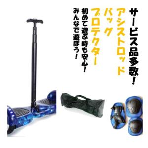 【フルセット】セグウェイ ミニセグウェイ バラ...の詳細画像3
