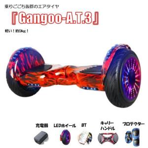 クリスマスセール【アウトレット】セグウェイ ミニセグウェイ バランス