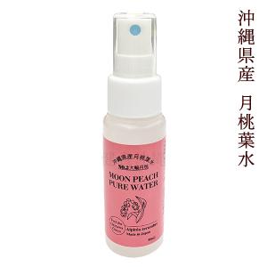 カミヤマ美研 No.1 ウォータークリーナー 1000ml 顔を洗う水 : 沖縄
