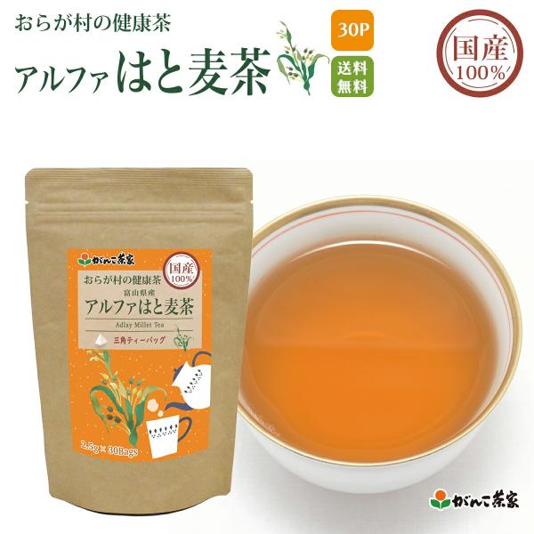 国産 100% 富山県産アルファはと麦茶 ティーバッグ 75g(30袋) おらが村の健康茶【送料無料...