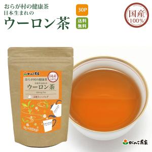 国産 100% ウーロン茶 ティーバッグ 60g(30袋) おらが村の健康茶 日本生まれのウーロン茶【送料無料】| 烏龍茶  水出し ティーパック がんこ茶屋 がんこ茶家