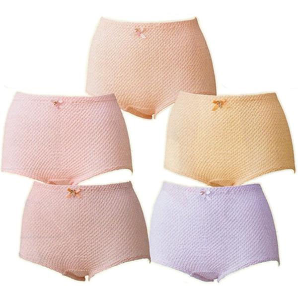 エトワール841 5枚セット LL ベーシック ずりあがらないコットンショーツ エトワール海渡 鹿の...