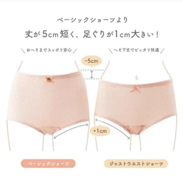 エトワール841 へそ下丈 Mサイズ ジャストウエストサイズ ずりあがらないコットンショーツ 鹿の子...