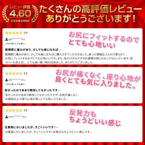腰痛クッション 取手付き 持ち運び 高密度55...の詳細画像2
