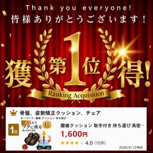 腰痛クッション 取手付き 持ち運び 高密度55...の詳細画像1