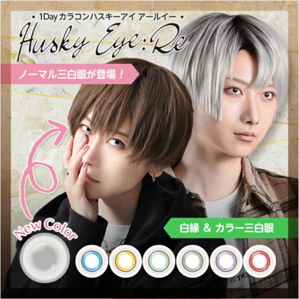 カラコン アシストシュシュ ハスキーアイ:Re ワンデー【1箱6枚入】度あり 度なし 14.5mm ...