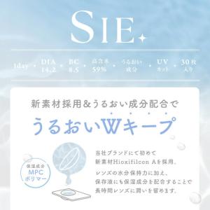 SIE. CLEAR 1day30枚入り クリ...の詳細画像2