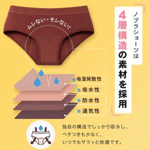 Nopra(ノプラ)吸水型サニタリーショーツ ...の詳細画像3