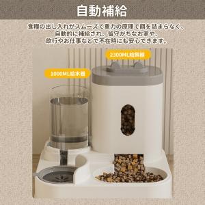 給餌器 給水器 ペット 自動的 猫用 多頭飼い...の詳細画像4