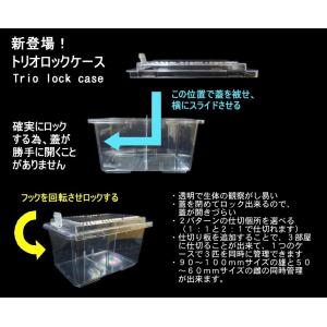 トリオロックケース(仕切板2枚付属)10個セッ...の詳細画像5