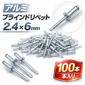 楽天市場】エビ/ロブテックス NSA62LF ラージフランジブラインドリベット(丸頭) 徳用BOX(500本入) : プロ向け工具専門店【愛道具館】 | ロブテックス ラージフランジブラインドリベット(100本入) アルミ/スティール NSA63LFEB | ブランド登録なし