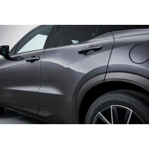 LBX MORIZO RR ドアエッジプロテクター1台分(フロント・リヤ) 08174-52090-...