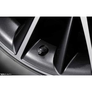 レクサス（LEXUS） 純正 アクセサリー パーツ NX450h+ NX350h NX350