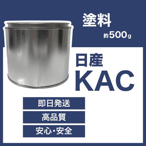 日産KAC 車用塗料 スカイラインGT-R 希釈済  KAC