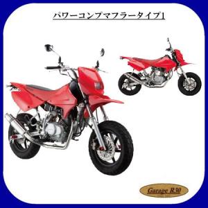 BURIAL（ベリアル） GP・M1・ストリートスペックサイレンサー XR100