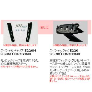 カワサキ（Kawasaki） NINJA ニンジャ 250R 300R (13-16) セパハン