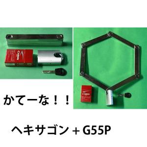 衣川製鎖工業 かてーなα20 ( アルファ ) 2.0mカギ付き 盗難防止ロック 