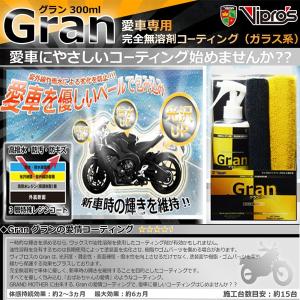 VIPROS GRAN グラン ガラス系コーティング剤 300ml ヴィプロス VS-788 ビプロス｜garager30