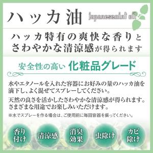 ヒロバ・ゼロ ハッカ油 100ml(和種薄荷/...の詳細画像1