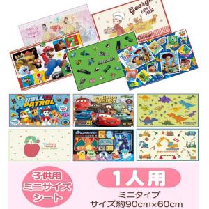 子供 レジャーシート キッズ 一人用 Sサイズ ピクニックシート ポケモン スケーター 遠足 行楽 幼稚園 保育園