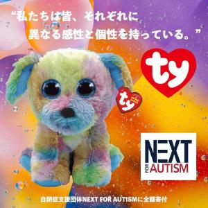 ビーニーブーズ ty 〔 キャシディー 〕M ネコ 猫 ふわふわ 動物