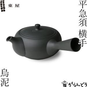 常滑焼 常滑作家急須 玉光陶苑 梅原廣隆作 陶製アミ 240ml 茶器 国産