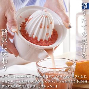 東屋 ジューサー No.2 絞り器 搾り器 ハ...の詳細画像2