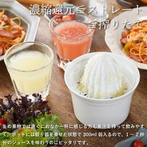 東屋 ジューサー No.2 絞り器 搾り器 ハ...の詳細画像3
