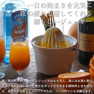 東屋 ジューサー No.2 絞り器 搾り器 ハ...の詳細画像5