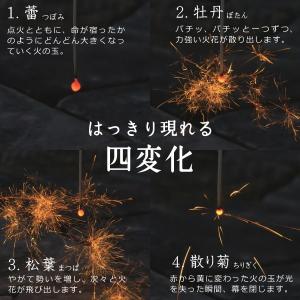 国産花火 西の線香国産花火 スボ手牡丹 筒井時...の詳細画像2