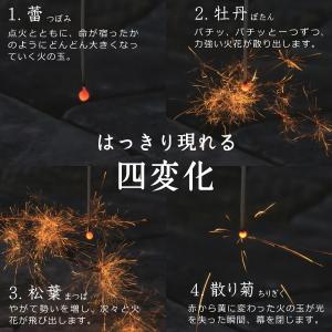 国産花火 冬のできたて線香国産花火 筒井時正玩...の詳細画像2