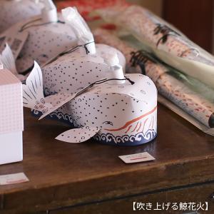 筒井時正玩具花火製造所 お取り寄せ花火 C 9...の詳細画像4