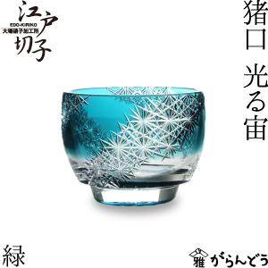 くもの巣 タンブラー 緑 グラス ガラス 酒器 【薩摩切子 鹿児島 伝統