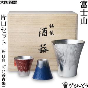 能作 名入れ ぐい呑 猪口 本錫100％ 酒器 ぐい呑み 大 2個ペアセット