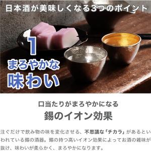 名入れ 能作 錫製 酒器セット ぐい呑み(錫×...の詳細画像2
