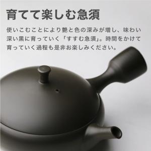 急須 すすむ急須 常滑焼 黒 すすむ屋茶店 テ...の詳細画像4