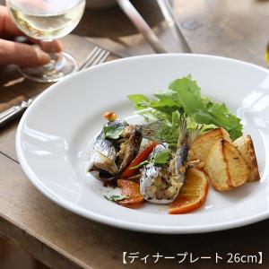 サタルニア チボリ ディナープレート18/20...の詳細画像5