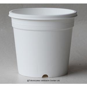 プラ鉢 A-３０ 白 １５０個セット プランター