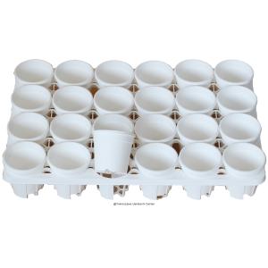 プラ鉢　A-30　白　24個セット + 専用トレー　PMT-24　白（ホワイト）　付き　トレーセット