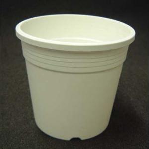 プラ鉢 A-５０ 白 ３０個セット プランター