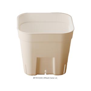 プレステラ 通常型 白 105 スリット入りプラ鉢 10個セット