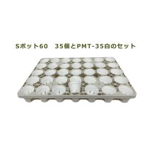Sポット60　白　35個セット + 専用トレー　PMT-35白（ホワイト）　付き　トレーセット