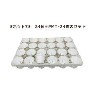 Sポット75　白　24個セット + 専用トレー　PMT-24白（ホワイト）　付き　トレーセット