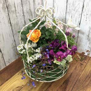 お花　寄せ植え　鳥かご　母の日　寄せ植え 数量限定 大人気 おまかせ 寄せ植え よせうえ 夏〜秋の寄せ植え