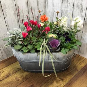寄せ植え 　冬の寄せ植え　お誕生日プレゼント 秋の花 冬の花　がいっぱい 木製コンテナ寄せ植え 手付き 木製プランター 冬の寄植え ギフト